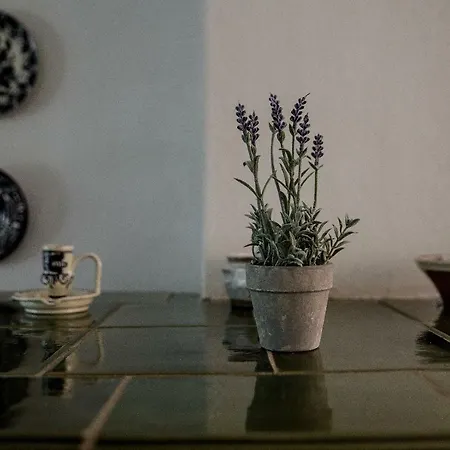 Daire Buzavirag Apartman *