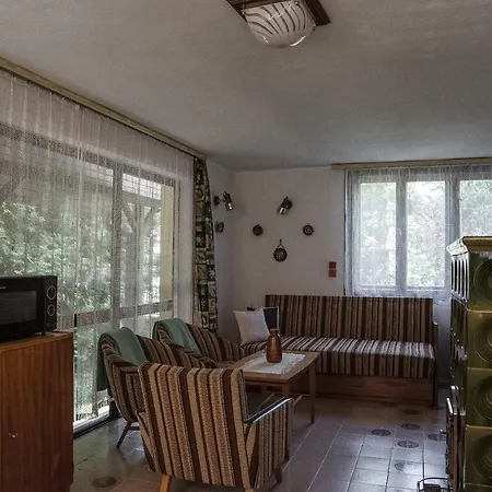 Buzavirag Apartman Daire Gyula